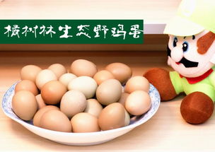 宜昌三峡特产 野鸡蛋客户品尝试4枚装9.9元全国包邮